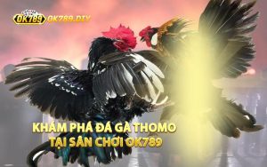 Khám Phá Đá Gà Thomo Tại Sân Chơi OK789